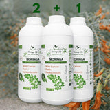 Moringa + Cancer Bush Extract – Immune, Mood & Anti-Inflammatory Wellness Support