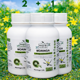 Moringa Capsules with African Potato – Immune & Inflammation Support (120 Capsules) - Moringa Life