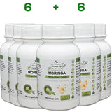 Moringa Capsules x 120 with added Collagen - Moringa Life