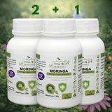 Moringa Capsules x 120 with Added Echinacea – Immune Support & Wellness Boost - Moringa Life