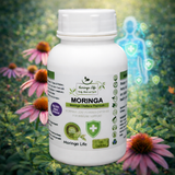 Moringa Capsules x 120 with Added Echinacea – Immune Support & Wellness Boost - Moringa Life