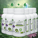 Moringa Capsules x 120 with Added Echinacea – Immune Support & Wellness Boost - Moringa Life
