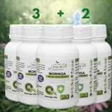 Moringa Capsules x 120 with Added Echinacea – Immune Support & Wellness Boost - Moringa Life