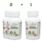 Moringa Capsules x 120 with added Gymnema Sylvestre - Moringa Life