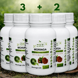 Moringa Capsules x 120 with Added Red Reishi – Immune & Energy Support - Moringa Life