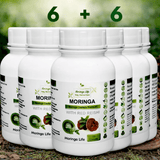 Moringa Capsules x 120 with Added Red Reishi – Immune & Energy Support - Moringa Life