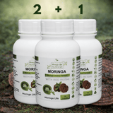 Moringa Capsules x 120 with Added Red Reishi – Immune & Energy Support - Moringa Life