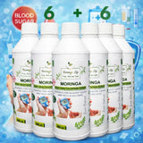 Moringa Concentrate Extract for Blood Sugar Wellness – with Gymnema Sylvestre - Moringa Life