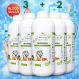 Moringa Concentrate Extract for Blood Sugar Wellness – with Gymnema Sylvestre - Moringa Life