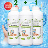 Moringa Concentrate Extract for Blood Sugar Wellness – with Gymnema Sylvestre - Moringa Life