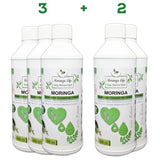 Moringa Concentrate Extract for High Blood Pressure and Cholesterol with added Turmeric - Moringa Life