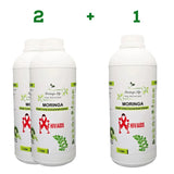Moringa Concentrate Extract for HIV and Aids - Moringa Life