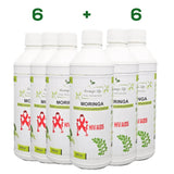 Moringa Concentrate Extract for HIV and Aids - Moringa Life