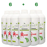 Moringa Concentrate Extract for HIV and Aids - Moringa Life