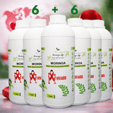 Moringa Concentrate Extract for HIV/AIDS - Advanced Immune & Vitality Support - Moringa Life
