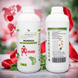 Moringa Concentrate Extract for HIV/AIDS - Advanced Immune & Vitality Support - Moringa Life