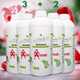 Moringa Concentrate Extract for HIV/AIDS - Advanced Immune & Vitality Support - Moringa Life