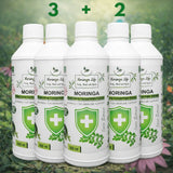 Moringa Concentrate Extract for Immune Support with added Echinacea
