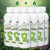 Moringa Concentrate Extract for Immune Support with added Echinacea