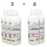 Moringa Concentrate Extract for Iron Deficiency (Anemia) and Energy Booster - Moringa Life