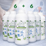Moringa Concentrate Extract for Joint Wellness Support – with Devil's Claw