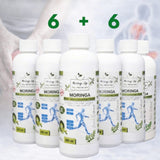 Moringa Concentrate Extract for Joint Wellness Support – with Devil's Claw