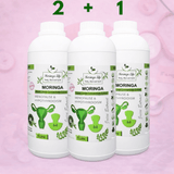 Moringa Concentrate Extract – Natural Menopause Support - Moringa Life
