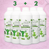 Moringa Concentrate Extract – Natural Menopause Support - Moringa Life