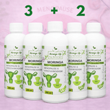 Moringa Concentrate Extract – Natural Menopause Support - Moringa Life