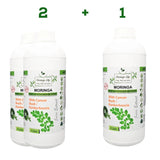 Moringa Concentrate Extract with CancerBush / Kankerbos - Moringa Life