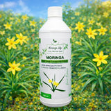 Moringa Concentrate with African Potato – Immune & Inflammation Support (Liquid Extract) - Moringa Life