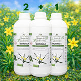 Moringa Concentrate with African Potato – Immune & Inflammation Support (Liquid Extract)