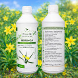Moringa Concentrate with African Potato – Immune & Inflammation Support (Liquid Extract)