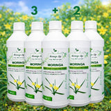 Moringa Concentrate with African Potato – Immune & Inflammation Support (Liquid Extract)