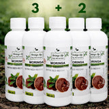 Moringa Concentrate with Red Reishi – Ultimate Wellness Elixir