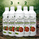 Moringa Concentrate with Red Reishi – Ultimate Wellness Elixir