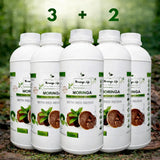 Moringa Concentrate with Red Reishi – Ultimate Wellness Elixir