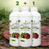 Moringa Concentrate with Red Reishi – Ultimate Wellness Elixir