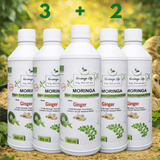 Moringa + Ginger Concentrate – Digestive & Anti-Inflammatory Support - Moringa Life