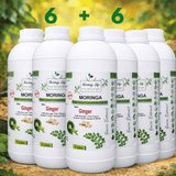 Moringa + Ginger Concentrate – Digestive & Anti-Inflammatory Support - Moringa Life