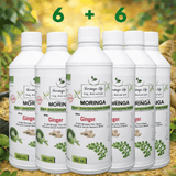 Moringa + Ginger Concentrate – Digestive & Anti-Inflammatory Support - Moringa Life