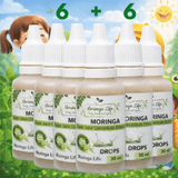 Moringa Leaf Extract Drops for Children – 30ml Natural Multivitamin Support - Moringa Life