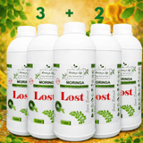 Moringa Lost Metabolic Wellness Blend – with Chia Seeds, Honey, Lemon Juice, Cinnamon EO, Peppermint EO, Lemon EO and Cinnamon Bark EO - Moringa Life