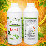 Moringa Lost Metabolic Wellness Blend – with Chia Seeds, Honey, Lemon Juice, Cinnamon EO, Peppermint EO, Lemon EO and Cinnamon Bark EO - Moringa Life