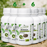 Moringa Seed Pills – Natural Cleanse, Energy & Blood Sugar Wellness Support (90 Capsules) - Moringa Life