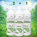Moringa Super Juice Concentrate – Daily Nutrition in Every Drop - Moringa Life