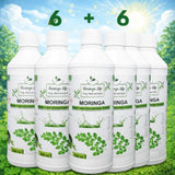 Moringa Super Juice Concentrate – Daily Nutrition in Every Drop - Moringa Life