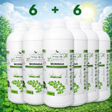 Moringa Super Juice Concentrate – Daily Nutrition in Every Drop - Moringa Life
