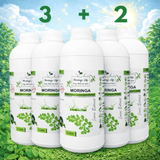 Moringa Super Juice Concentrate – Daily Nutrition in Every Drop - Moringa Life