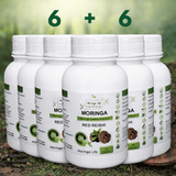 Red Reishi Capsules x 60 – Immune & Stress Support - Moringa Life